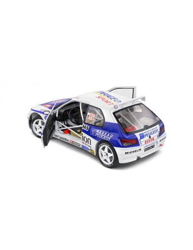 Peugeot 306 Maxi No 1 Delecour Monte...