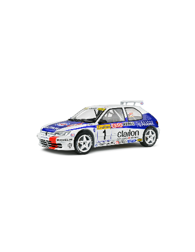 Peugeot 306 Maxi No 1 Delecour Monte...