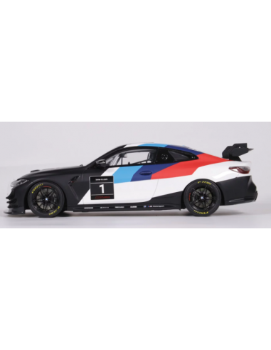 BMW M4 GT4 No 1 Presentation 2022...