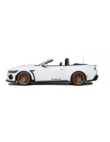 Ford Shelby Mustang Supernake 2025...