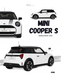 Mini Cooper S Nanuq 2025...