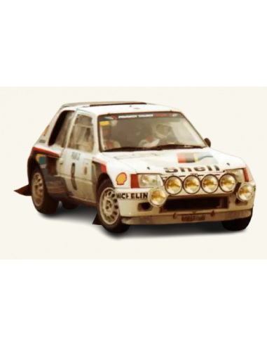 Peugeot 205 T16 No8 B.Saby Monte...