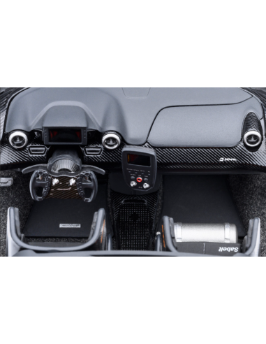 McLaren Senna GTR Presentation 1/18 -...